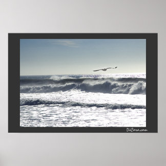 Seagull Surf Poster