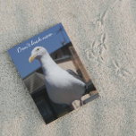 Seagull Surprise Funny Birthday Card Karte<br><div class="desc">Suchen Sie eine richtige, lustige Geburtstagskarte für jemanden? Wie wär's mit einer Möwenüberraschung? Wählen Sie aus einer matten oder glänzenden Stilkarte.</div>