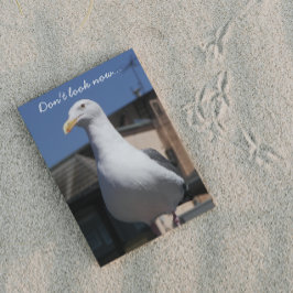 Seagull Surprise Funny Birthday Card Karte