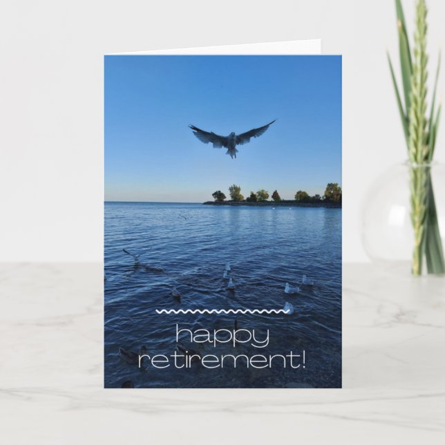 Seagull über die Lago Retirement Card Karte (Vorderseite)