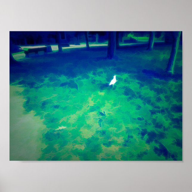 Seagull-Walking auf Grasflüssigkeitseffekt Poster (Vorne)
