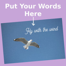 Seagull White Gray Blue Inspiration Foto