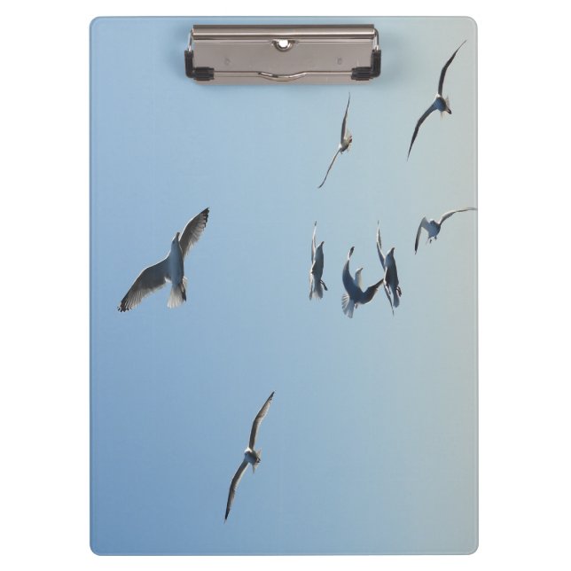 Seagull Wildlife Coastal Design for Field Notes Klemmbrett (Vorderseite)