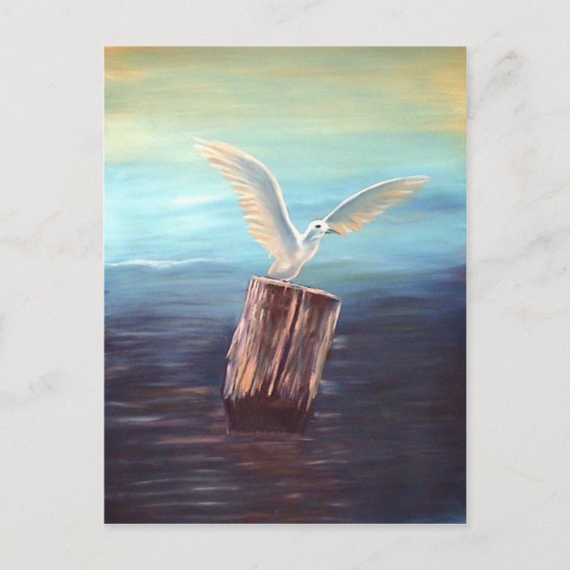 Seagull: www.AriesArtist.com Postkarte (Vorderseite)