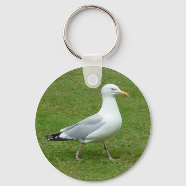 Seagull zu Fuß im Park Schlüsselanhänger (Vorderseite)