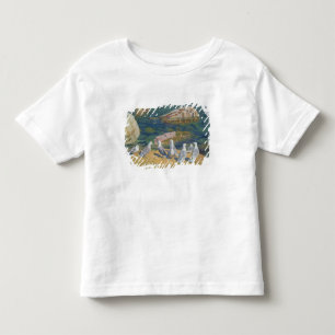 Seagulls, 1910 kleinkind t-shirt