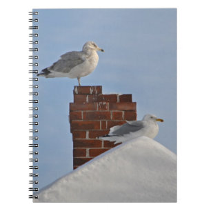 SEAGULLS auf dem DachNotebook Notizblock