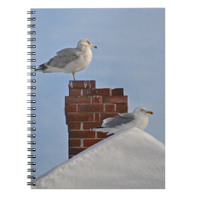 SEAGULLS auf dem DachNotebook Notizblock (Vorderseite)