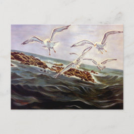 Seagulls der Kindness Postcard Feiertagspostkarte