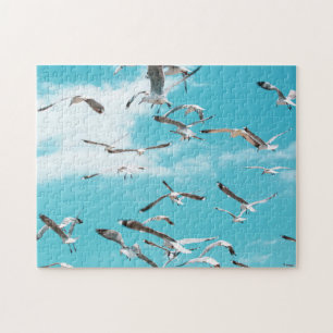 Seagulls Flying Sky Ocean Sea Theme