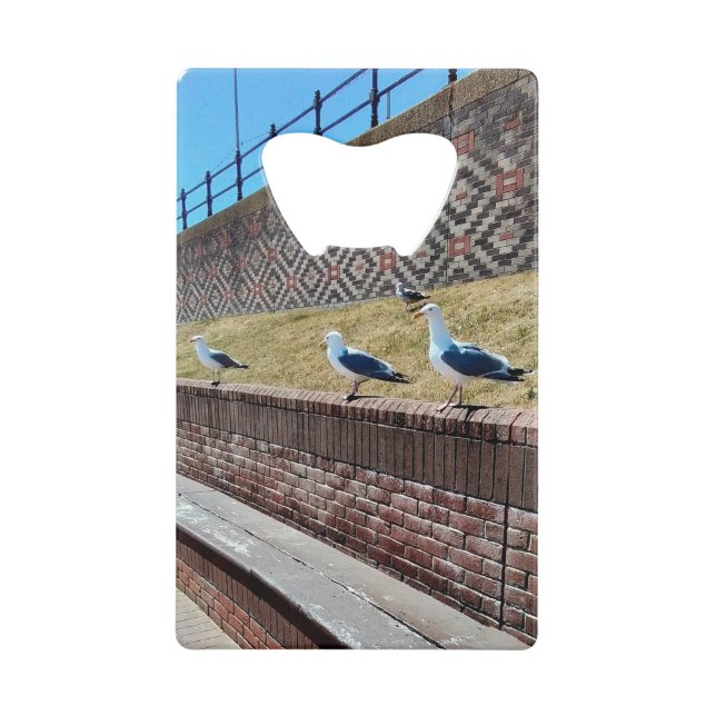 Seagulls Geldbeutel Flaschenöffner (Vorderseite)