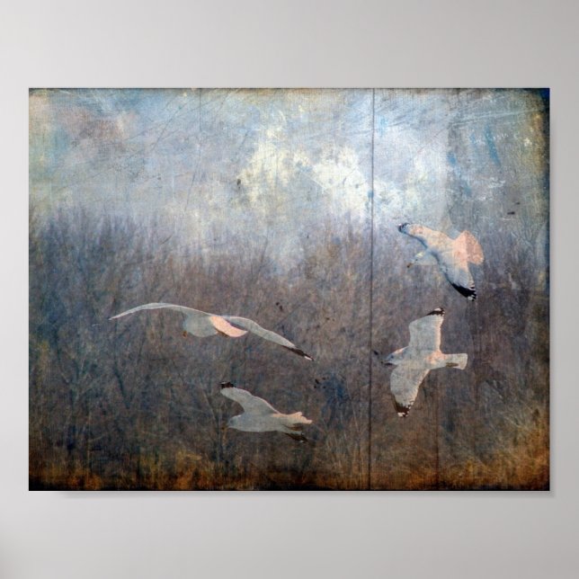 Seagulls Grunge Poster (Vorne)