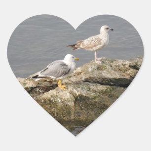 Seagulls Heart Sticker