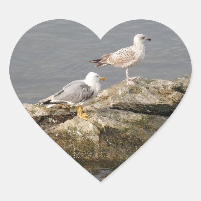 Seagulls Heart Sticker (Vorderseite)