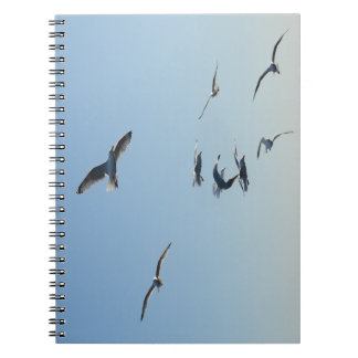 Seagulls in Flight Coastal Bird | Seaside Notizblock
