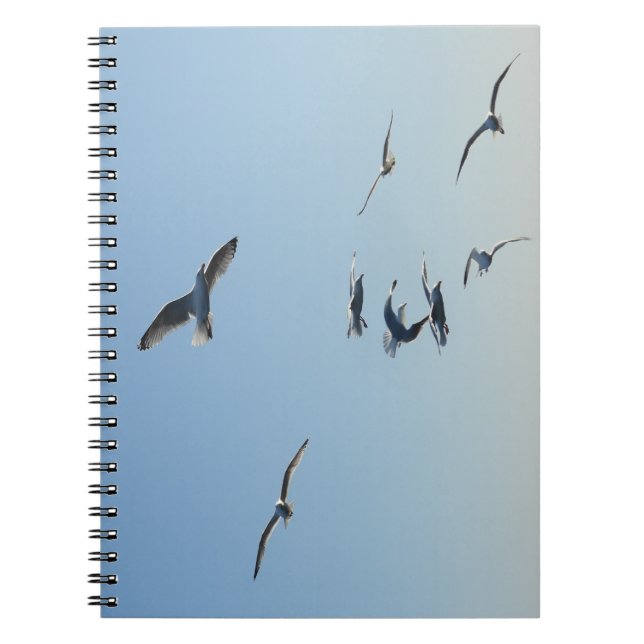 Seagulls in Flight Coastal Bird | Seaside Notizblock (Vorderseite)