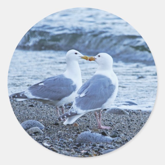 Seagulls Küssen auf dem Beach Foto Runder Aufkleber (Vorderseite)