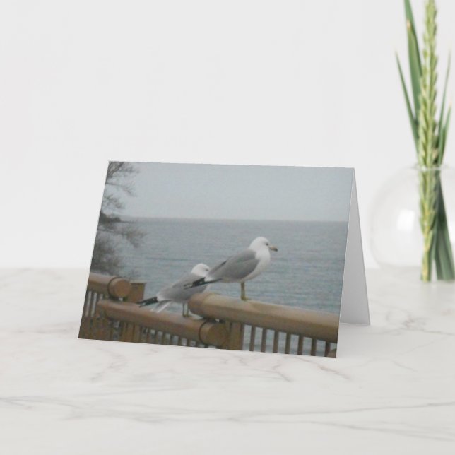 "Seagulls Looking to Lake Superior" Dankeschön Kar Karte (Vorderseite)