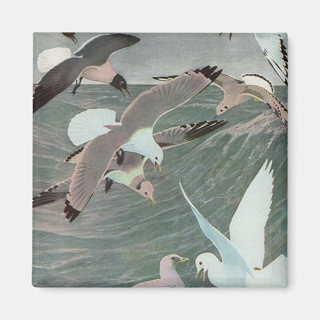 Seagulls Over Ocean Waves von Louis Agassiz Futes Magnet (Vorne)