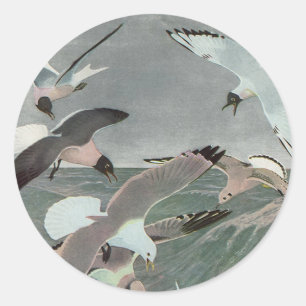Seagulls Over Ocean Waves von Louis Agassiz Futes Runder Aufkleber