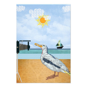 Seagulls selbt fotodruck