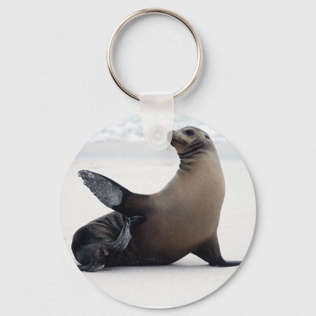 Sealion Schlüsselanhänger (Vorderseite)