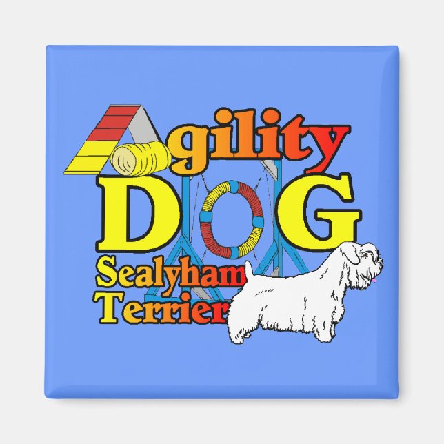 Sealyham_Terrier_Agility Magnet (Vorne)