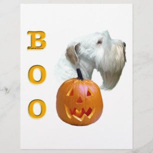 Sealyham Terrier Boo