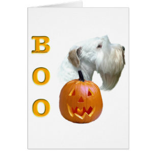 Sealyham Terrier Boo