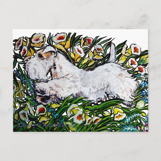 Sealyham Terrier Daffodils Postkarte (Vorderseite)