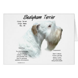 Sealyham Terrier History