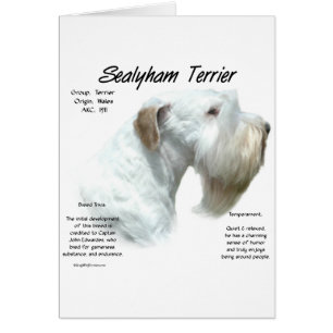 Sealyham Terrier History Design