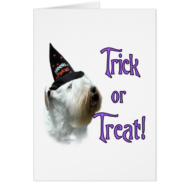 Sealyham Terrier Trick (Vorne)