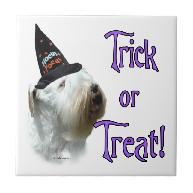 Sealyham Terrier Trick oder Treat Fliese (Vorderseite)