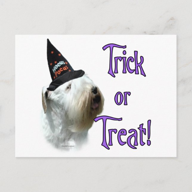 Sealyham Terrier Trick Postkarte (Vorderseite)