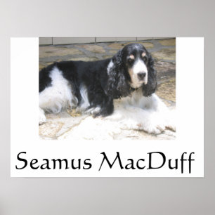 Seamus MacDuff Poster