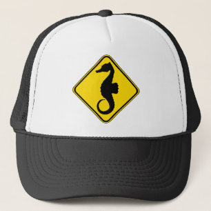 Searhorn Crossing ! Truckerkappe