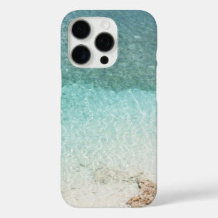 Seascape mit Strand, Great Wave & Mount Sea Case