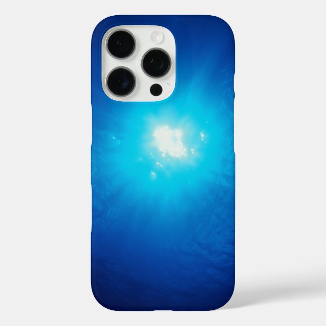 Seascape mit Strand, Great Wave & Mount Sea Case (Rückseite)