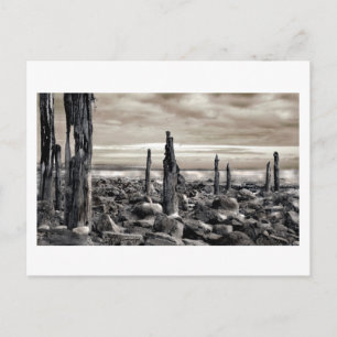 Seascape - Morgenvorführungen Postkarte