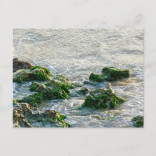 Seascape Postkarte