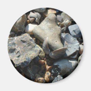 Seashell 3 magnet