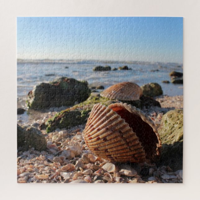 Seashell am Strand (Vertikal)