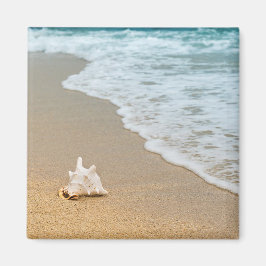 Seashell am Strand Magnet