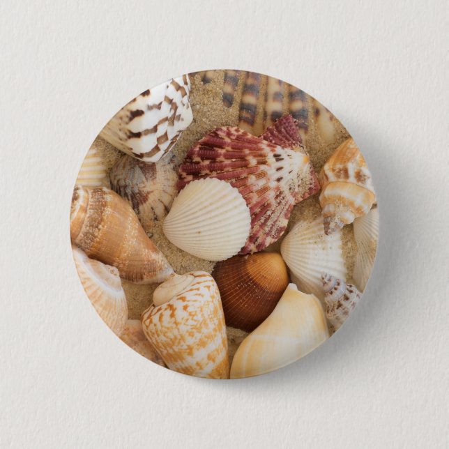 Seashell-Anordnung Button (Vorderseite)