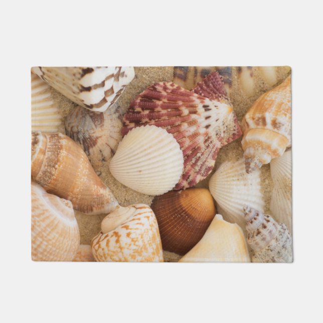 Seashell-Anordnung Fußmatte (Vorderseite)