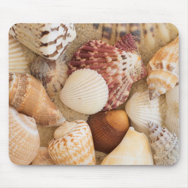 Seashell-Anordnung Mousepad (Vorne)