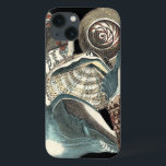 Seashell-Anthologie iPhone 13 Hülle<br><div class="desc">Diese Grafik durch Visions-Studio nimmt etwas von dem besten Ozeanseeleben gefangen. Erhalten Sie dieses rustikale Stück Grafik dieser verschiedenen Formen und Größen der Tritonshorn-Muscheln. Dieses ist ein einzigartiges Stück Grafik dieser Seashell-Anthologiestücke.</div>