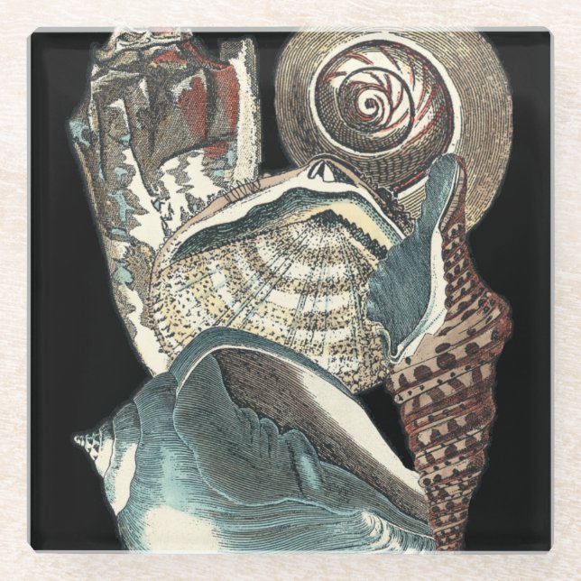 Seashell-Anthologie Glasuntersetzer (Vorderseite)