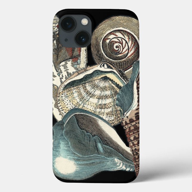 Seashell Anthology Case-Mate iPhone Hülle (Rückseite)